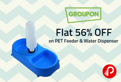 Flat 56% OFF on PET Feeder & Water Dispenser - Groupon