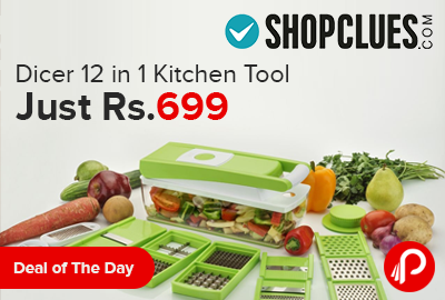 Dicer 12 in 1 Kitchen Tool