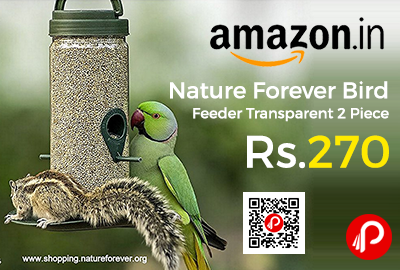 Nature Forever Bird Feeder Transparent 2 Piece at Rs.270 Only - Amazon