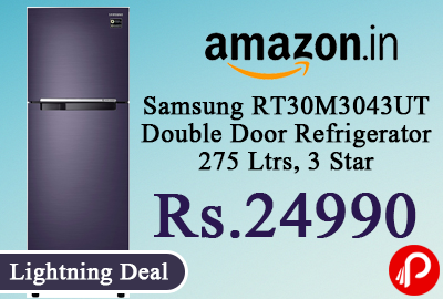 Samsung RT30M3043UT Double Door Refrigerator 275 Ltrs