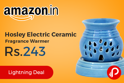 Hosley Electric Ceramic Fragrance Warmer