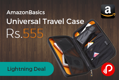 AmazonBasics Universal Travel Case