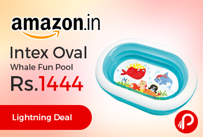 Intex Oval Whale Fun Pool just at Rs.1444