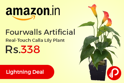 Fourwalls Artificial Real-Touch Calla Lily Plant