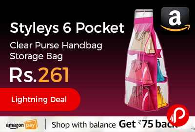 Styleys 6 Pocket Clear Purse Handbag Storage Bag