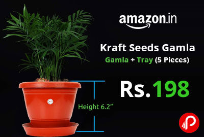 Kraft Seeds Gamla + Tray (5 Pieces) @ 198 - Amazon India