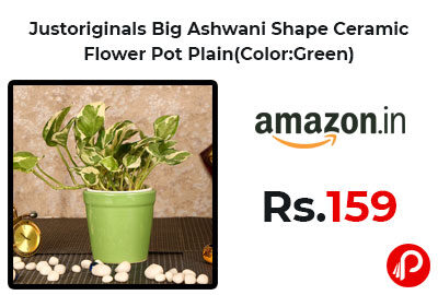 Justoriginals Big Ashwani Shape Ceramic Flower Pot Plain @ 159 - Amazon India